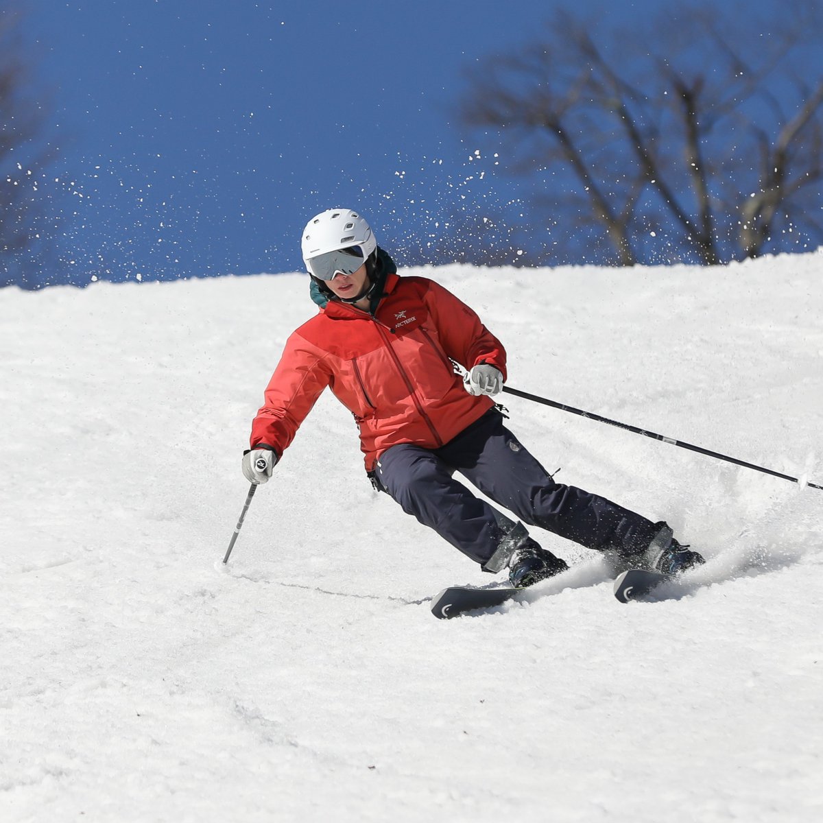 Seven Springs tweet media