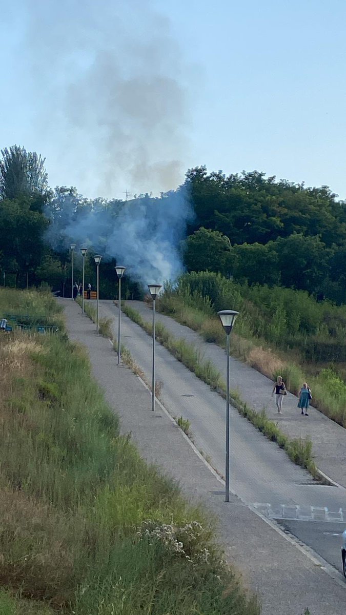 Albert Valera tweet media