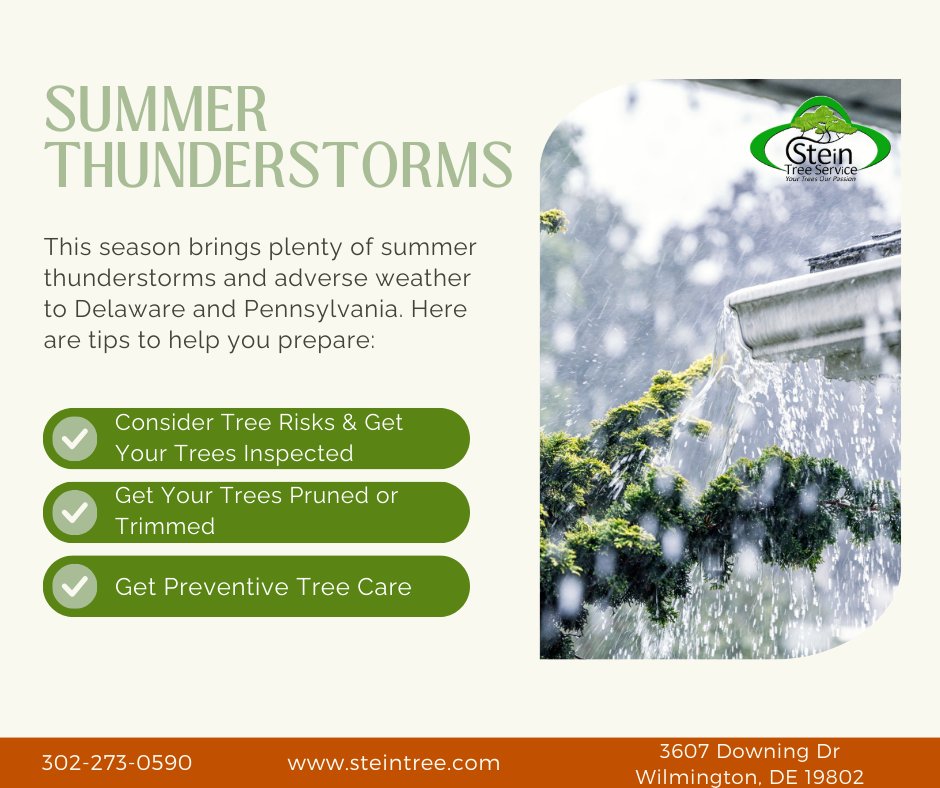 SteinTreeDe's tweet image. Stein Tree Services discusses how to prepare trees for #SummerThunderstorms to keep your trees and property safe. bit.ly/4ayYXhT