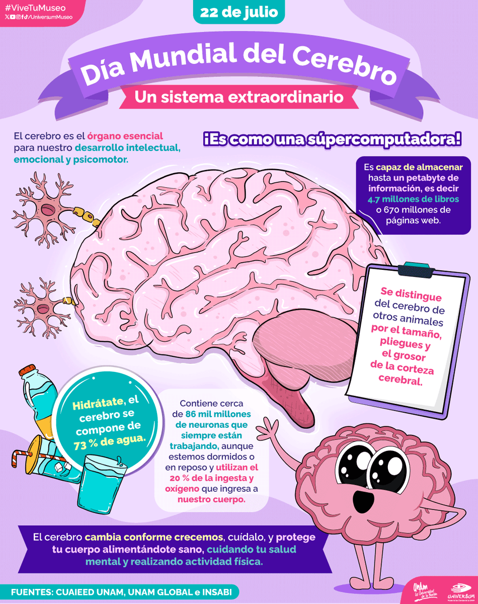 UniversumMuseo's tweet photo. #UnDíaComoHoy es el Día Mundial del Cerebro. 🤩🧠

Visita nuestra sala #Cerebro en #Universum para conocer más sobre él.✨🤓

#ViveTuMuseo https://t.co/Pbwi5lU39K