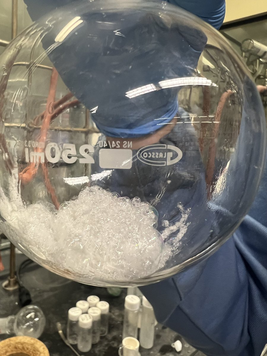 One of our first years John had a fun time in lab today with monomer synthesis and the pretty bubbles that often happen in our lab when drying sugar based monomers