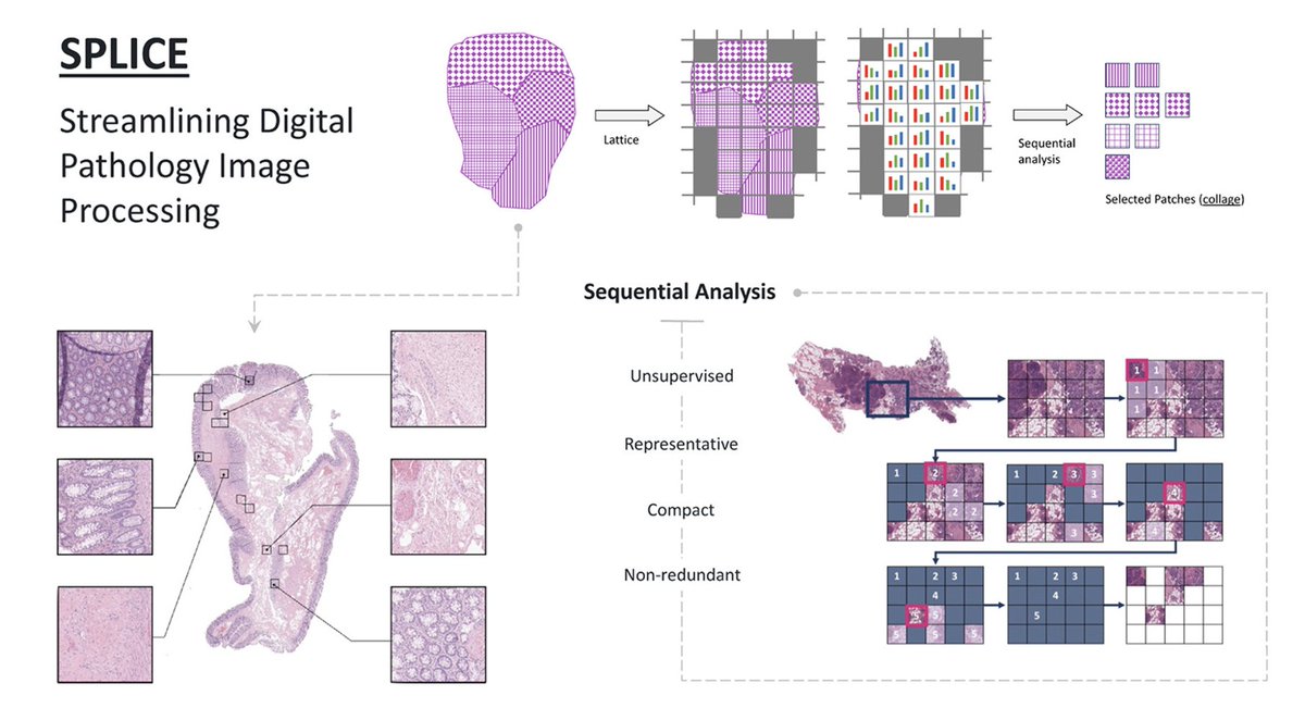 kimia lab tweet media