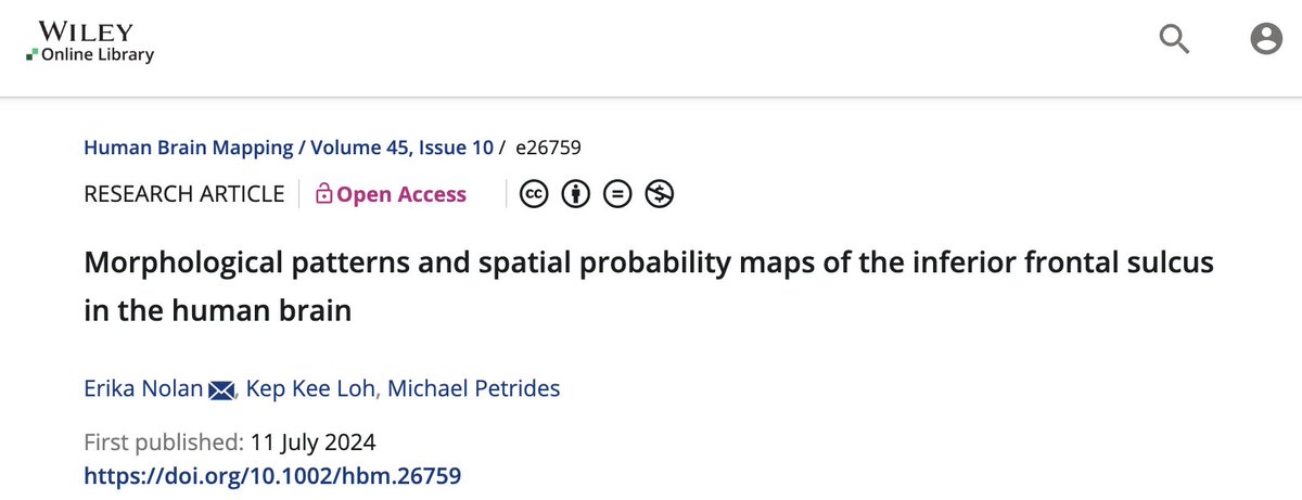 Neuroimaging studies require accurate anatomical descriptions. However, the morphology of the inferior frontal sulcus (ifs) has been difficult to distinguish from adjacent sulci. PhD student Erika Nolan and Prof Michael Petrides provide the first detailed description of the ifs.
