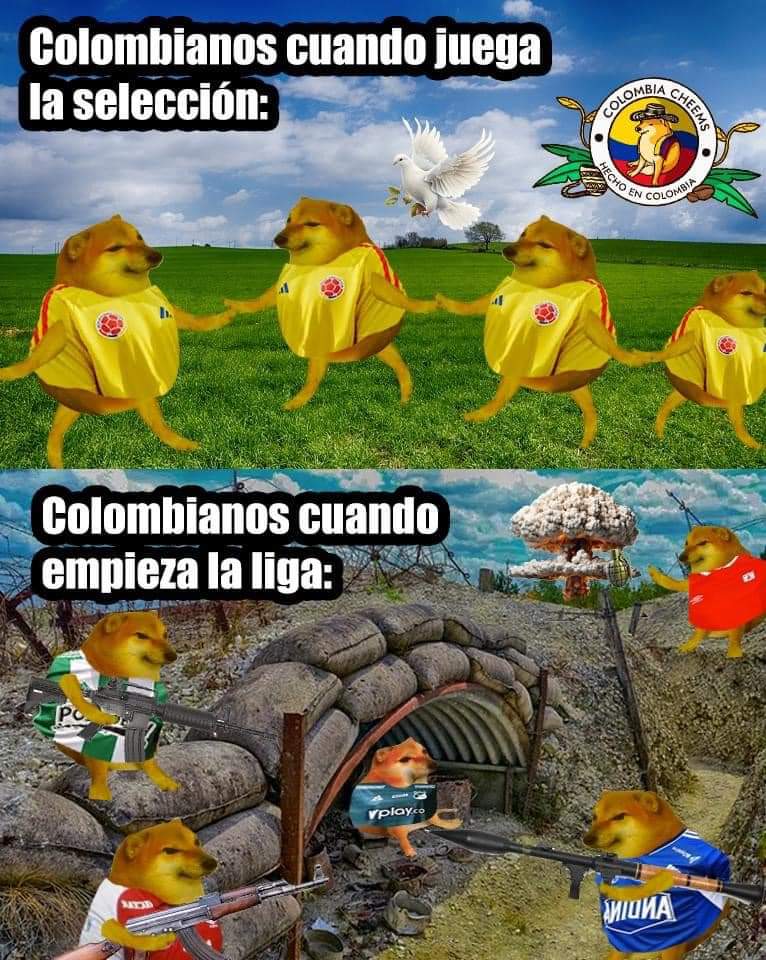 ElGolGarracol's tweet photo. https://t.co/FkiXZMRYHS