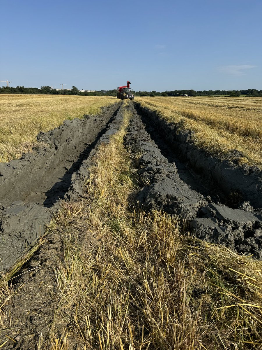 James S. Peck tweet media