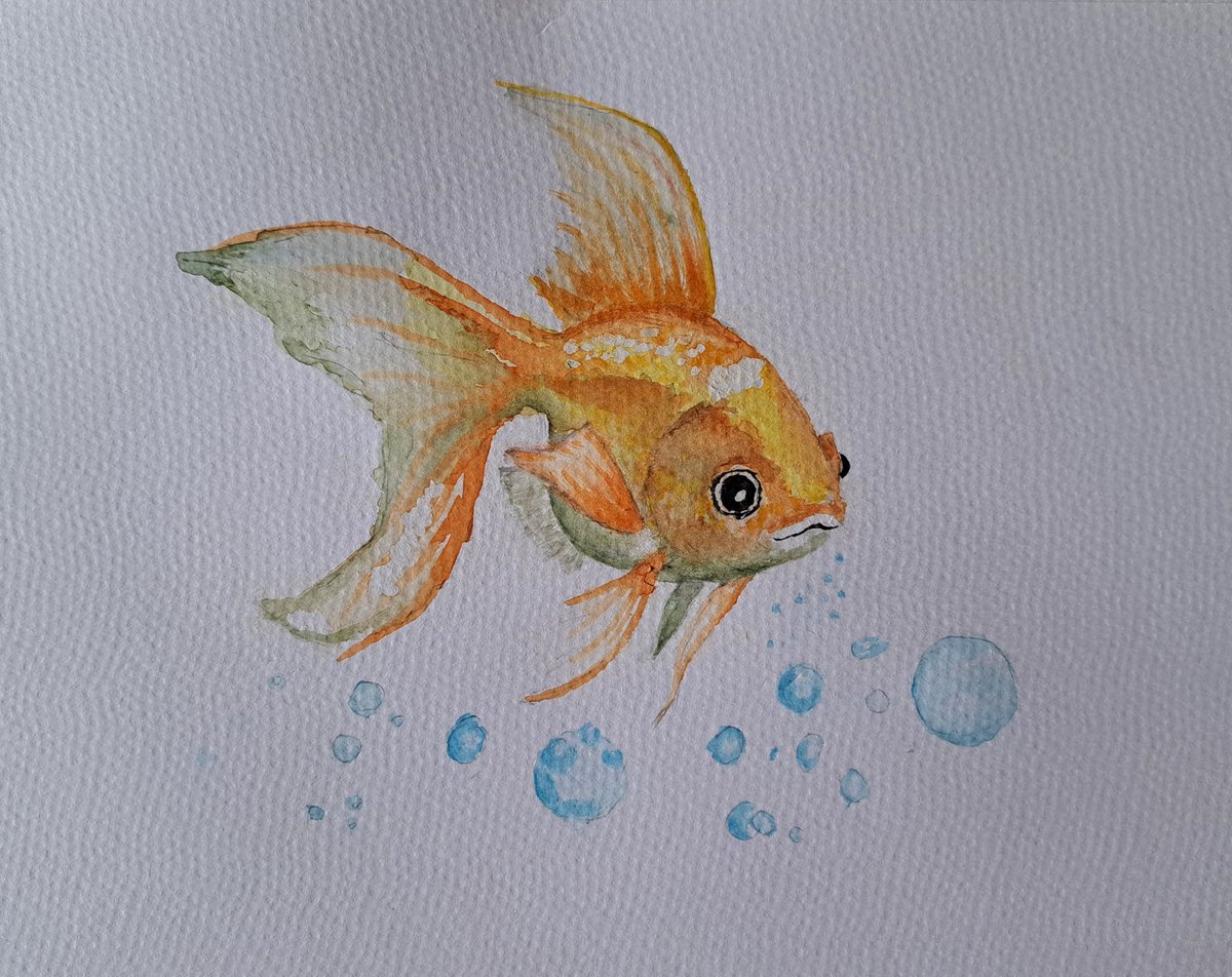 Hello there !
It's been quite a while...
Trying watercolour for the first time : so so many things to learn !! ..but I quite like this little guy. 🙃
