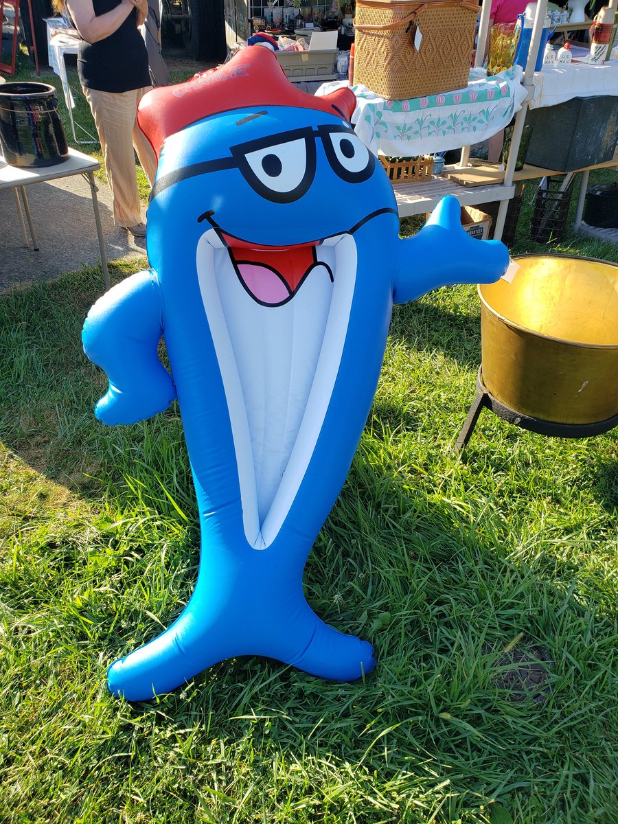 Lizard44674006's tweet photo. @BowTiedGrandma @bowtiedrawmilk You think you'll cover 100's of miles in a day. However,  you'll probably only cover 30 to 40 due to the mount of people selling.  Churches, schools, fairs open up for these 4 days. https://t.co/0d6LBiC81K