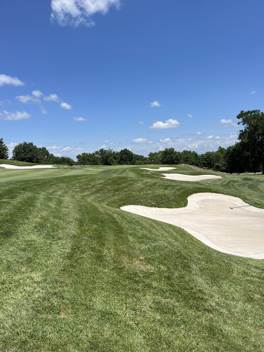 CE Golf Design tweet media