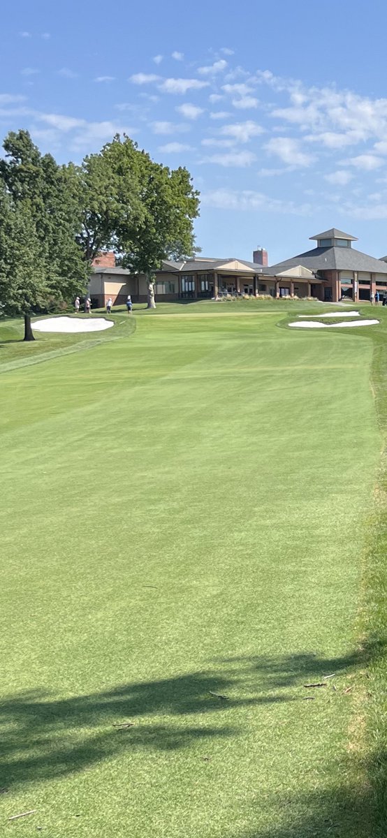 CE Golf Design tweet media