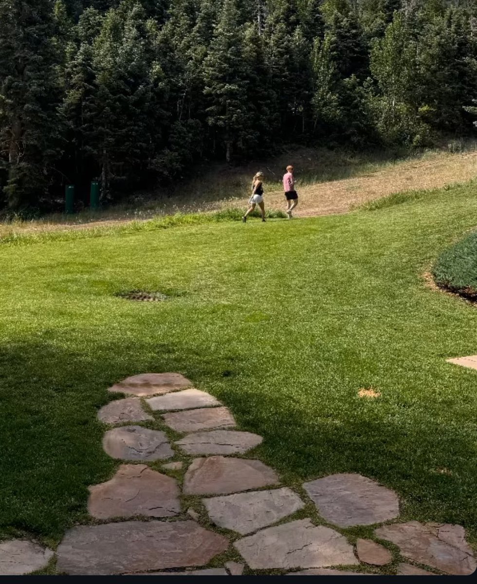 Tim Dillon tweet media