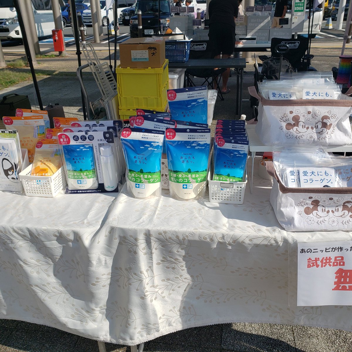 Puremax4's tweet photo. 足柄わんわんフェスタ、風が強くて平置きでスタート‼️
#東名高速足柄SA #足柄わんわんフェスタ #犬用コラーゲン #小型犬 #パテラ #歩行困難 https://t.co/K0WBflgDXi