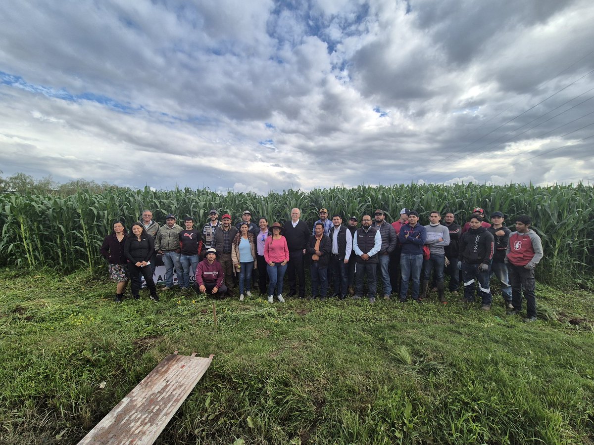 JulioBerdegue's tweet photo. Hoy platiqué y aprendí mucho de un grupo de pequeños productores y productoras de Laguna Blanca, municipio de Fresnillo. Hacen un gran trabajo de innovación para elevar la productividad de maíz. ¡Miren cuantas mujeres y jóvenes! ¡Claro que hay futuro! https://t.co/uylIqyDzIx