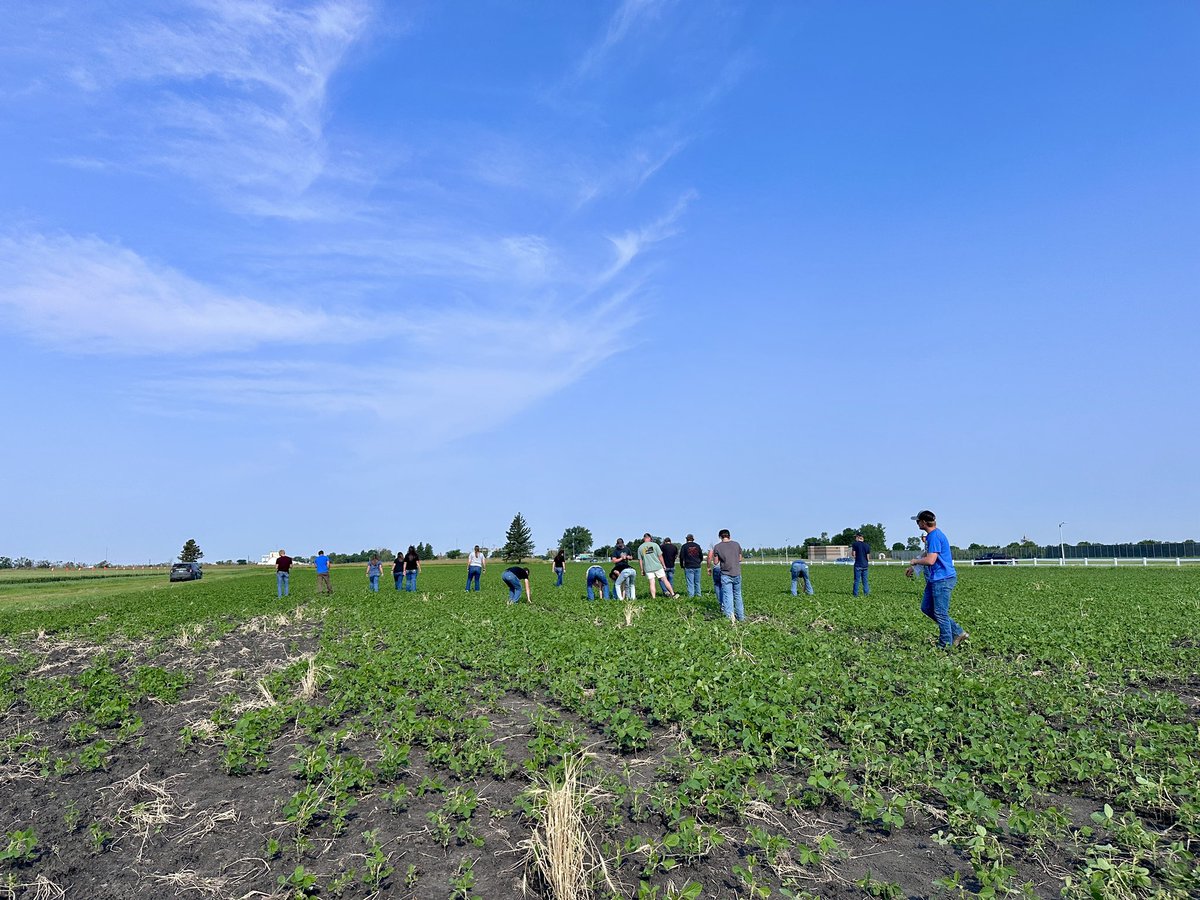 NDSCS Agriculture tweet media