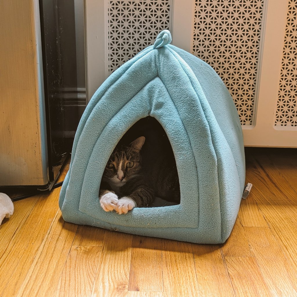 Shabbat Shalom! Good Shabbos!