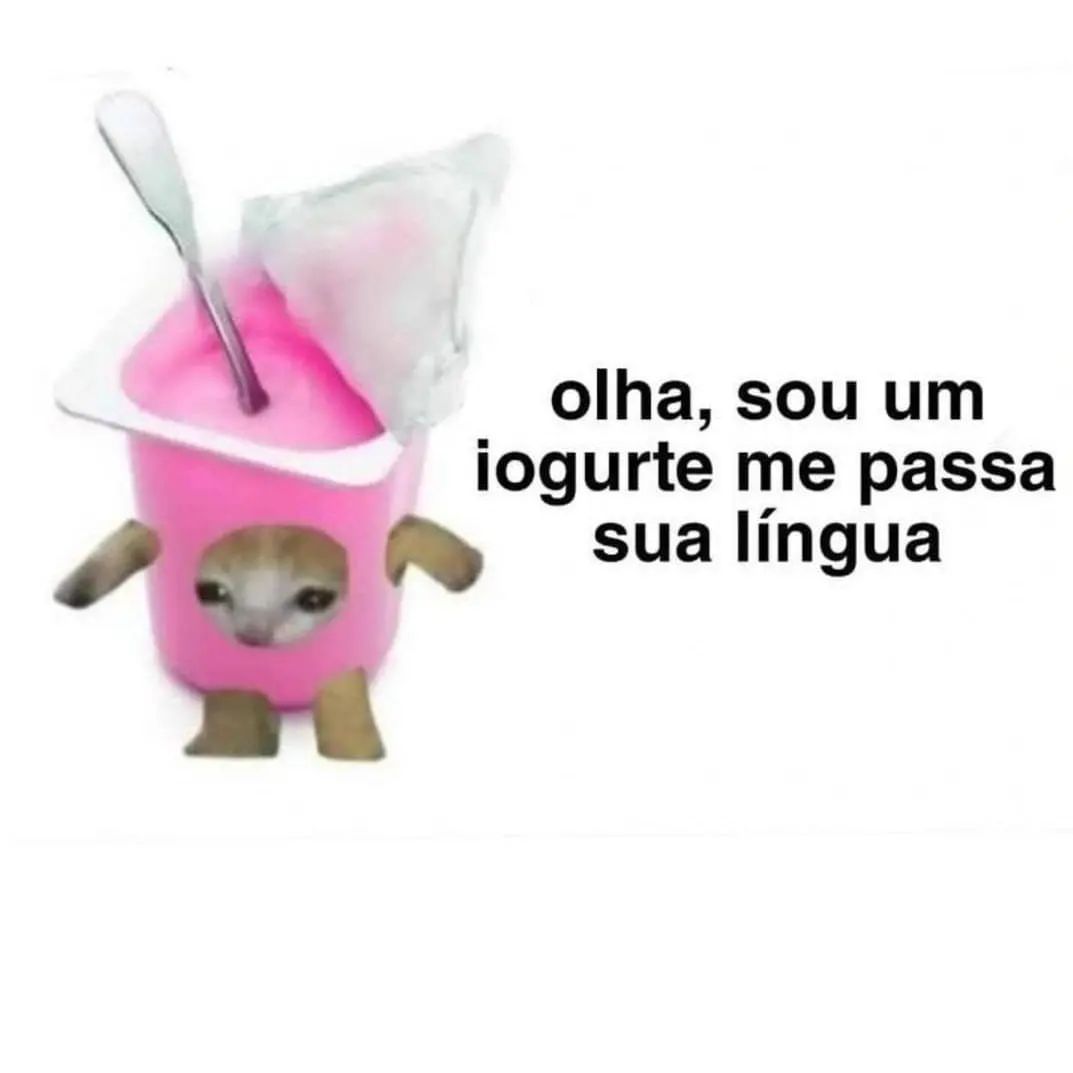 perfil dedicado a gatinhos e peitos (@odeiootaco) on Twitter photo 