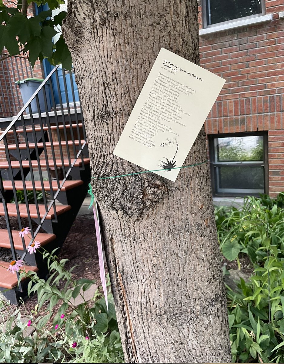TheElegyProject's tweet photo. in which the Elegy Project arrives in Montreal.... https://t.co/fozJhoqcQo