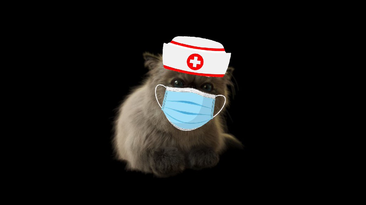 doctordiggles's tweet photo. @WarpieTheWombat @MuhammadAli He need a Doctor! https://t.co/xRuURqp746