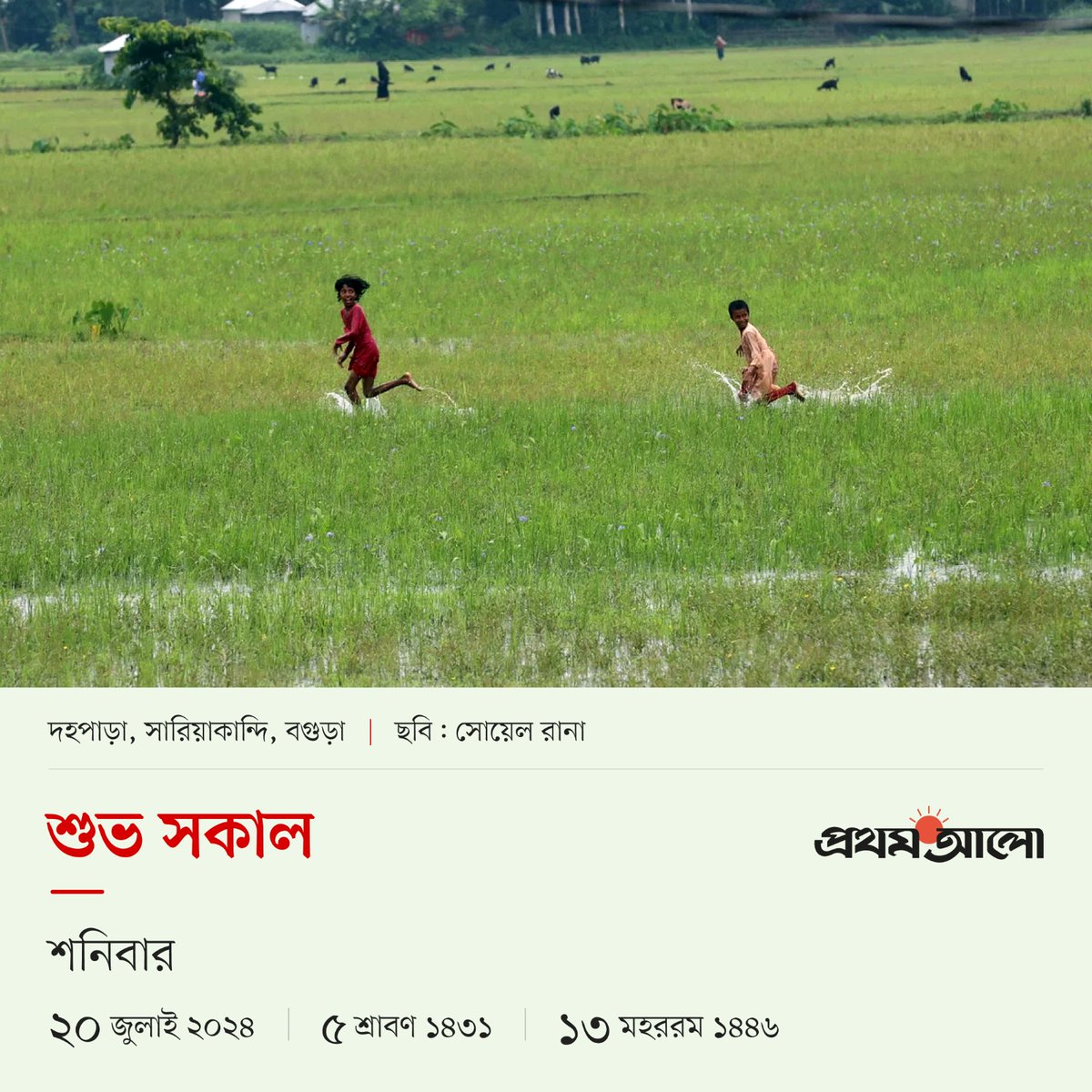 Prothom Alo tweet media
