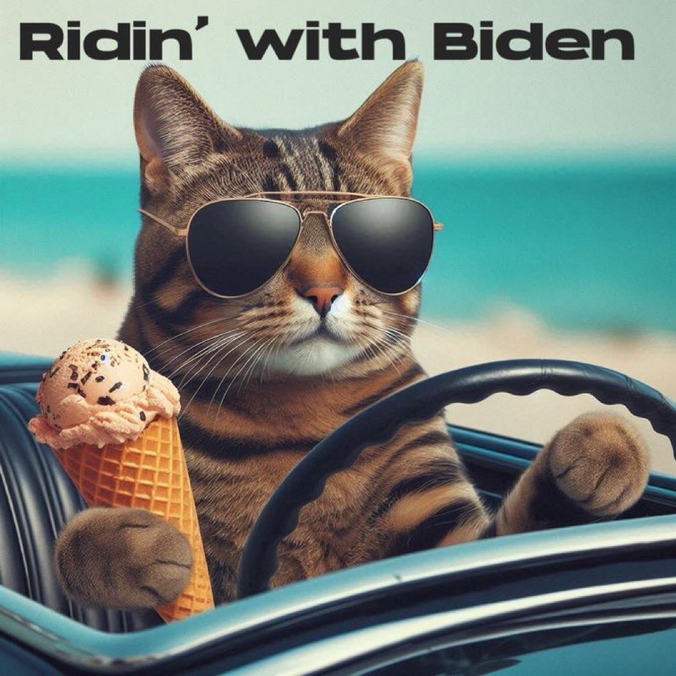 BlueStormComin1's tweet image. #PetsForBiden🐾🐩🦴🐈🐱 

Let’s see pet photos!  This is a meet and greet! 🐾

#CatsOfTwitter #DogsOfTwitter 
#PetsAreFamily🐾❤️ 

Repost me please
