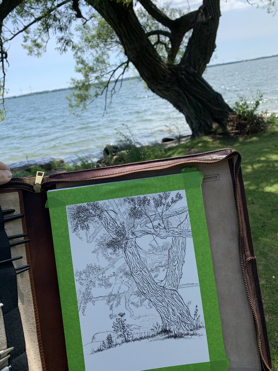 BrendaHozjan's tweet photo. Still working away on this tree drawing.  Patience is definitely the name of the game. #penandink #realism https://t.co/0lBUXRS06B