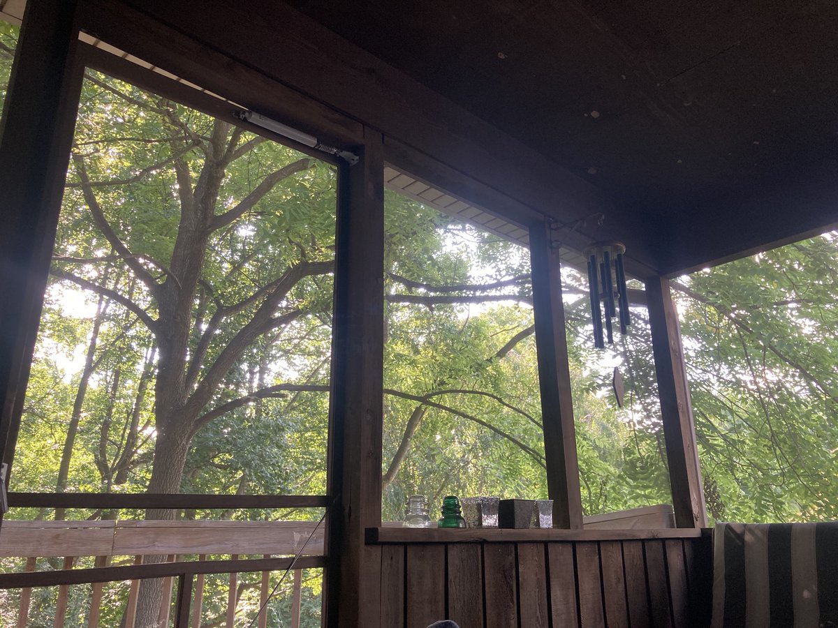 Suzan Jackson tweet media