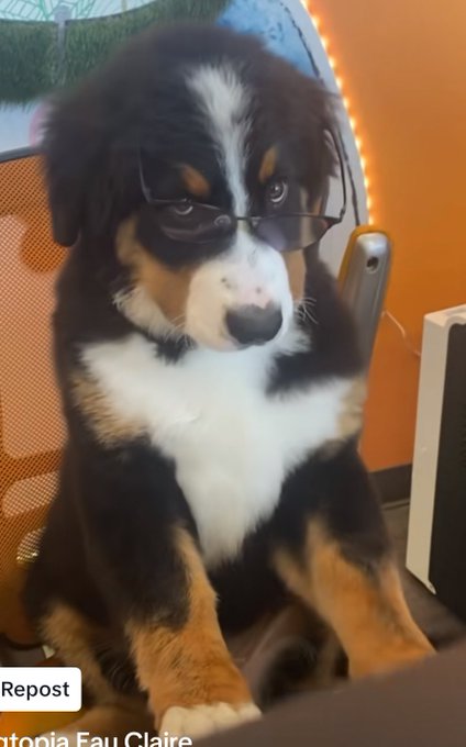 Watch Jamie Forever X's leaked NSFW photo on TwXstars