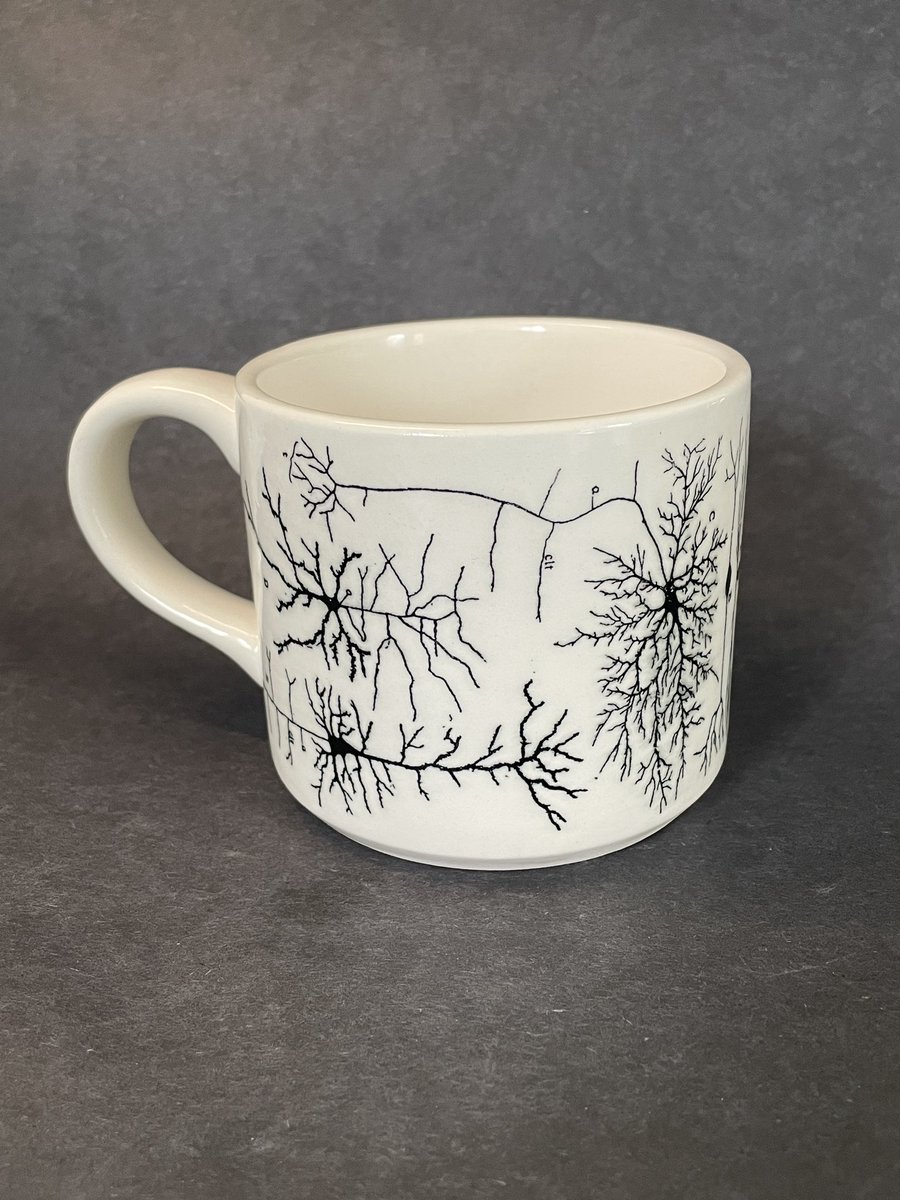Jackie_Gio's tweet photo. New Cajal mugs in the shop tomorrow at 12pm PT! https://t.co/TNcRQTHaQq