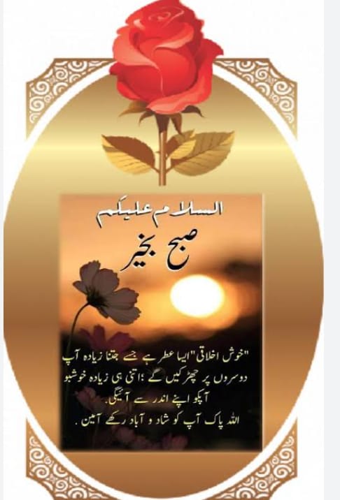 Anaya Imran tweet media