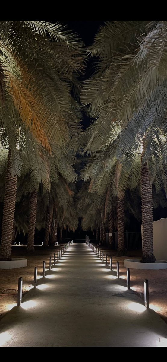 ALSARHED's tweet photo. بين تحقيق الاماني وتطويع الظروف
من يريد الاوله ما اعتذر بـ " الثانيه " https://t.co/ej08LKsrVq