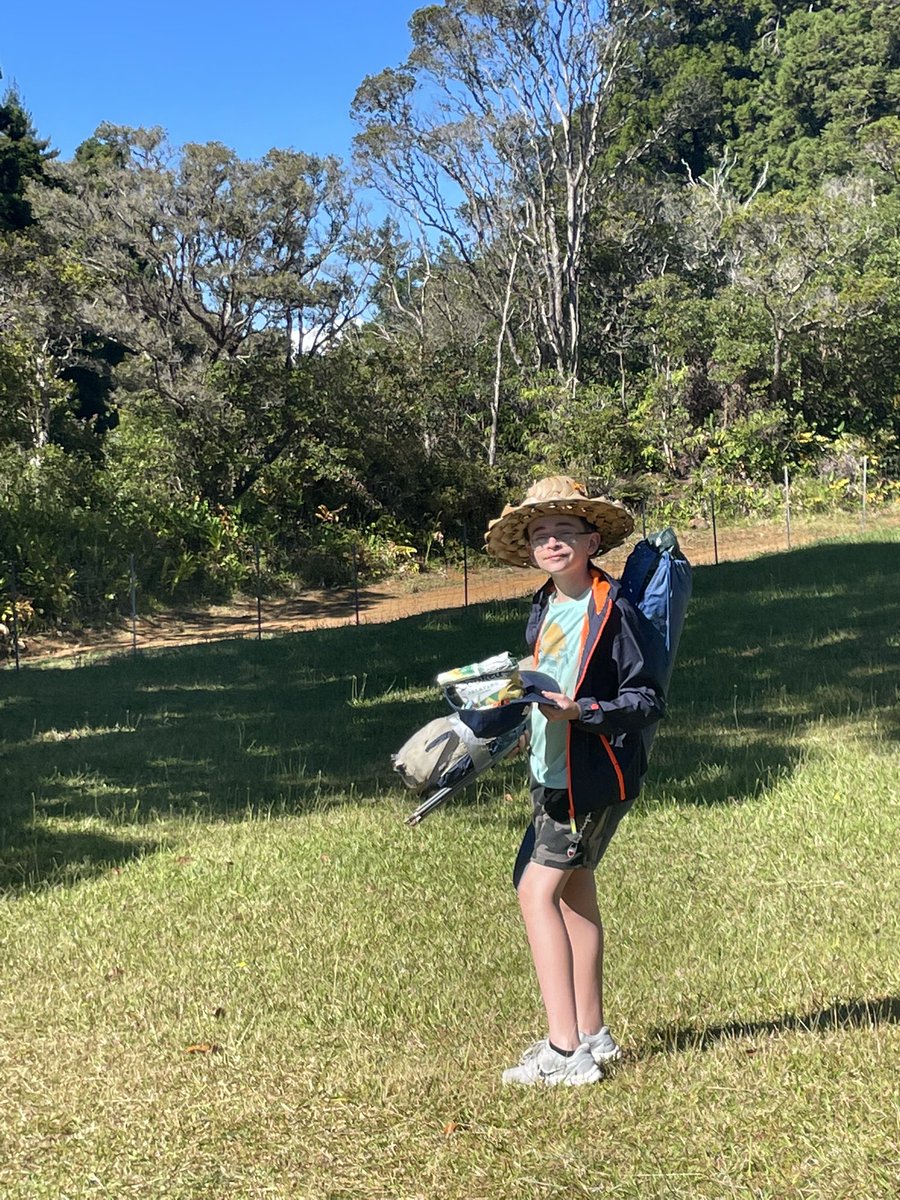 dogelonarmy's tweet photo. Today my boy officially became a straw hat #ONEPIECE @dogelonthis Elon edition https://t.co/hI5q79QX0q
