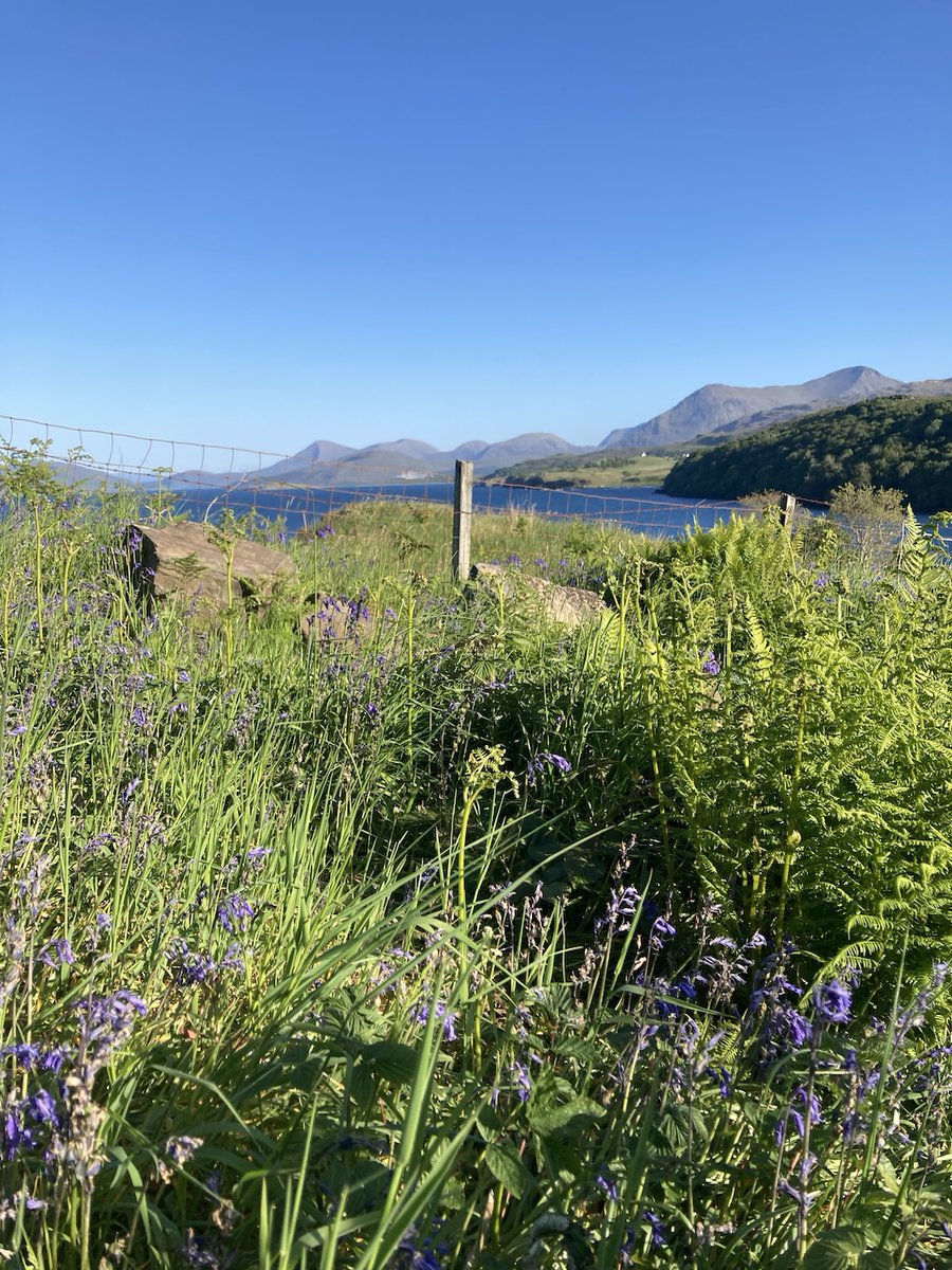 On the newsletter: <a href="/reversediorama/">David Keenan</a> on <a href="/TedKessler1/">Ted Kessler</a>'s Billy Childish biog; <a href="/WilboRose/">Will Rose</a> animates Swallows, House Martins &amp; Swifts; <a href="/lloydbethanr/">Bethan Roberts</a> on life on Skye; an extract from <a href="/KathleenJamie/">Kathleen Jamie</a>'s 'Cairn': where to catch <a href="/nickhand/">Nick Hand</a>'s printing bike this month...mailchi.mp/caughtbytheriv…