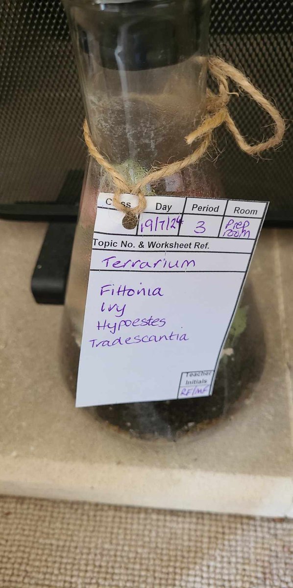 Said goodbye to our senior science technician today after 19 years.  Technicians are the glue behind the scenes in science depts.  We wish her every happiness pursuing term time holidays and continuing to support technicians in the Bucks Tech network.