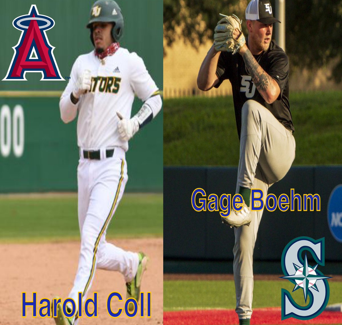 Two more San Jac former players ink professional baseball contracts! Huge shout out to Harold Coll who is now a <a href="/Angels/">Los Angeles Angels</a> minor leaguer and Gage Boehm who is now a <a href="/Mariners/">Seattle Mariners</a> minor leaguer. 👏🏻 👏🏻 👏🏻 <a href="/harold_coll/">Harold Coll</a> <a href="/boehm_gage/">Gage Boehm</a>