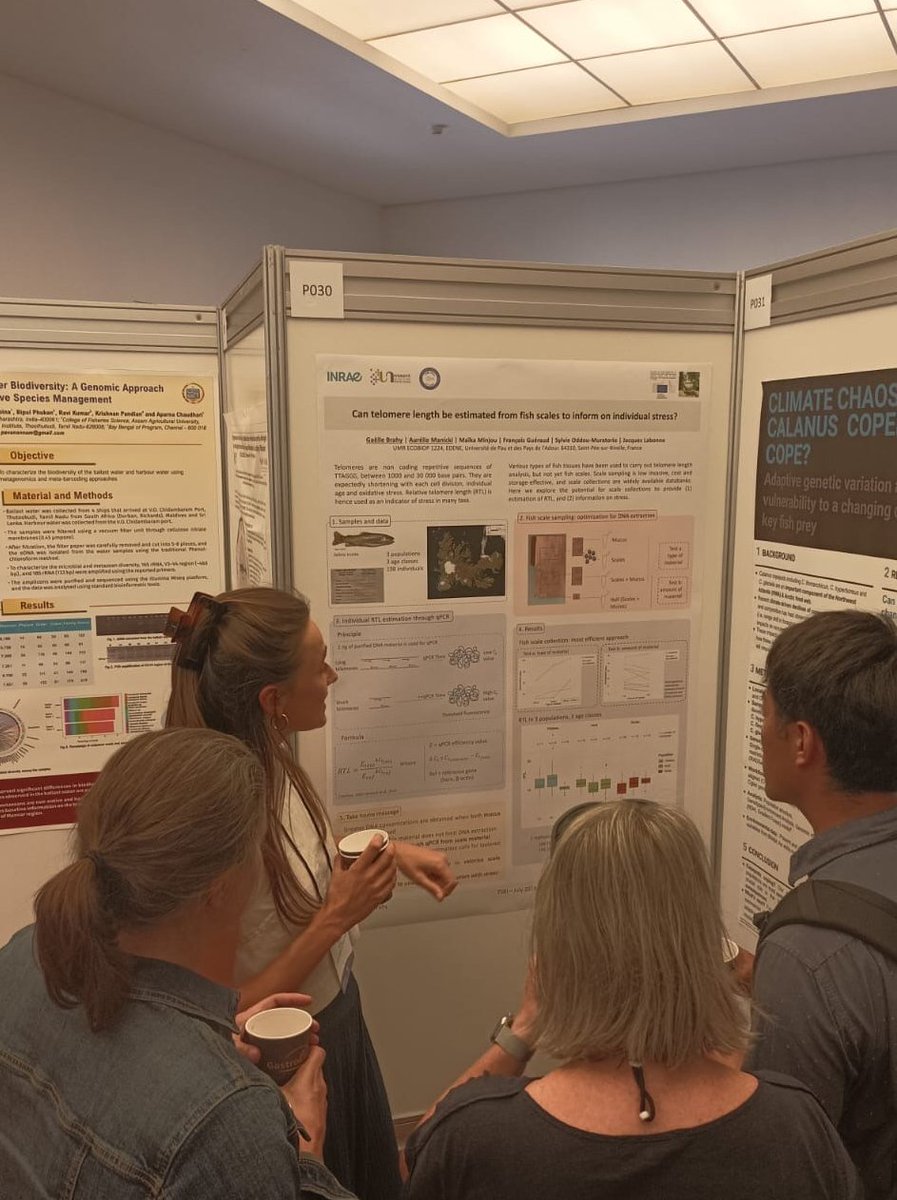 GaelleBrahy's tweet photo. Thank you to @TheFSBI for a very rich experience, and for the opportunity to present and discuss our work on telomeres length estimation from fish scales @fsbi_symposium #FSBI2024 https://t.co/J0N7DH3fzd