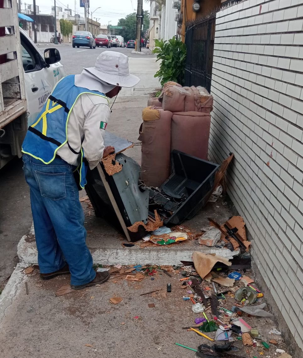 Secretaría de Servicios Públicos y Ecología tweet media