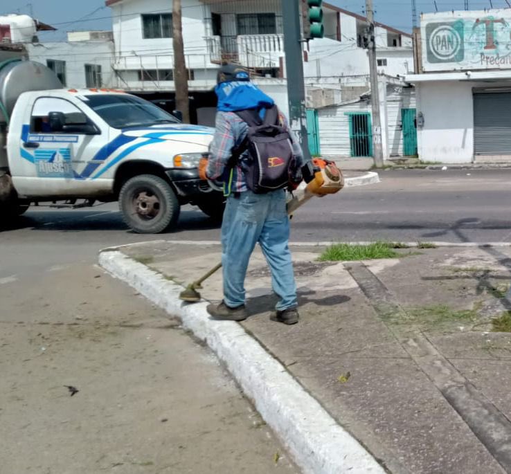 Secretaría de Servicios Públicos y Ecología tweet media