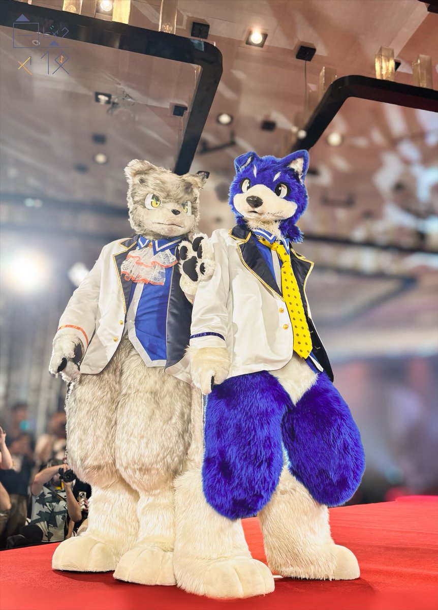 ByakuyaCoyote's tweet photo. #FurMIT24 #pdtk

 スーテンへ、ようこそ https://t.co/bLRZf4zbq2
