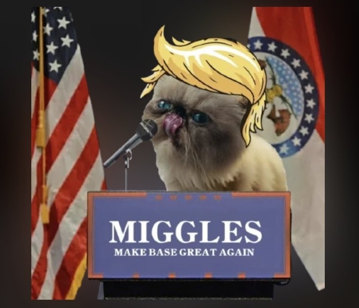 Josh Rager tweet media