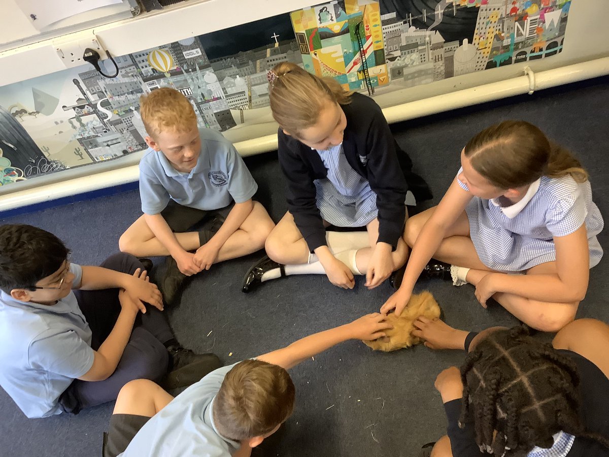 6AB - Miss Broome tweet media