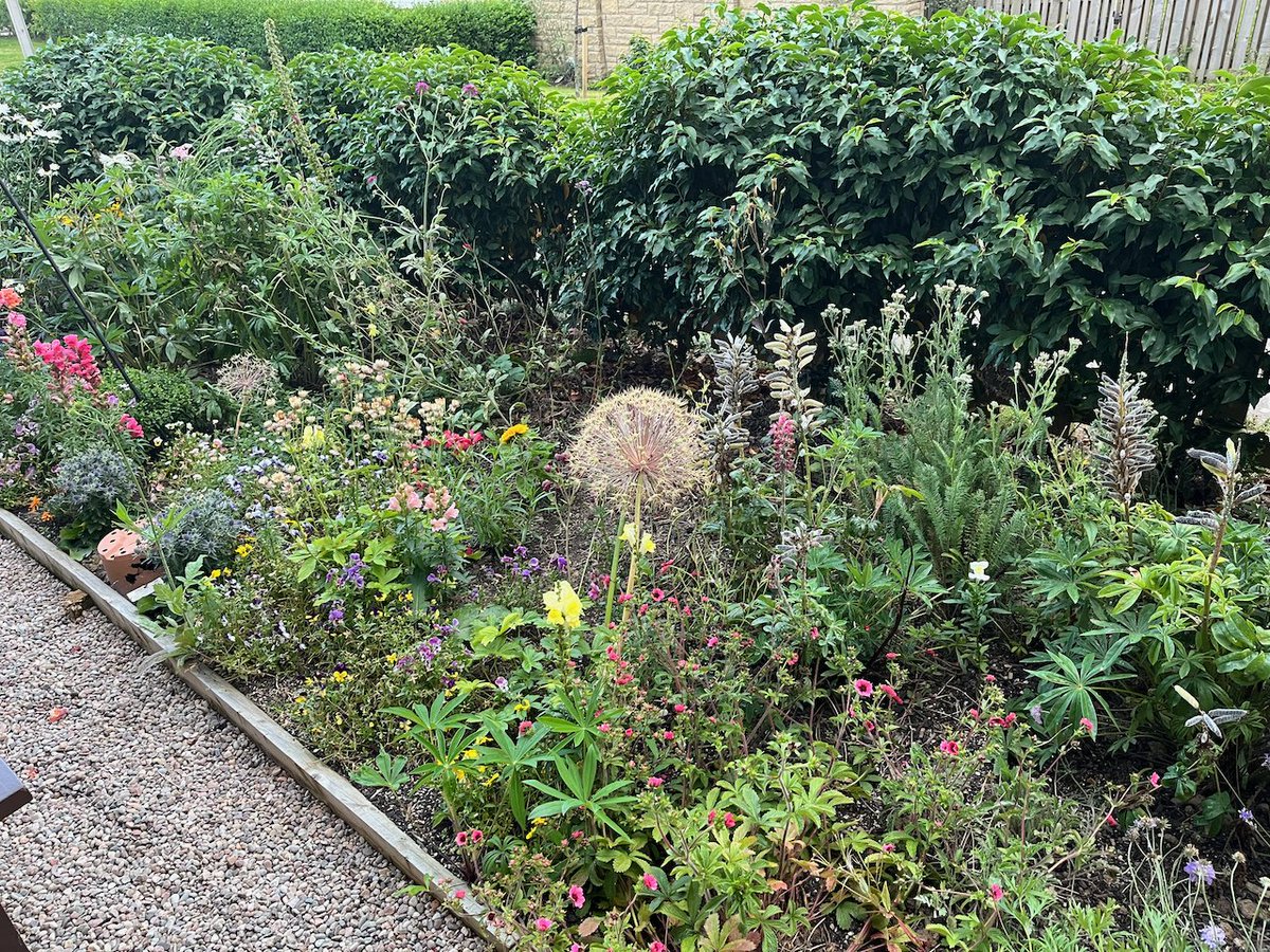 What a difference a year makes! Hideous new-build soil has brought a lot of challenges, but I'll never regret taking the grass out.