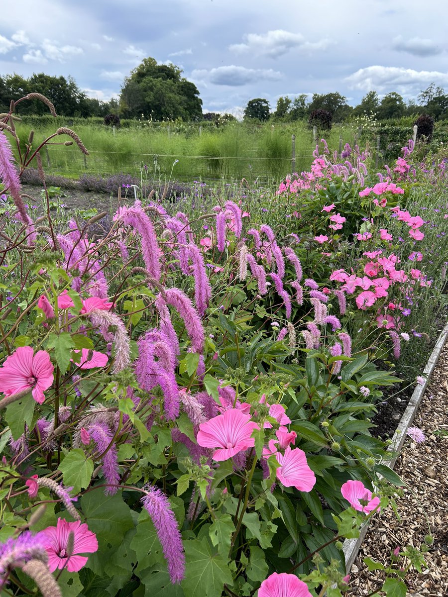 Zara Gordon Lennox tweet media