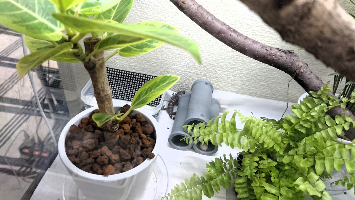 マルマルモリモリ様　ご確認用 3540497 部品 丸ノコ MW-46A 京セラインダストリアルツールズ(旧