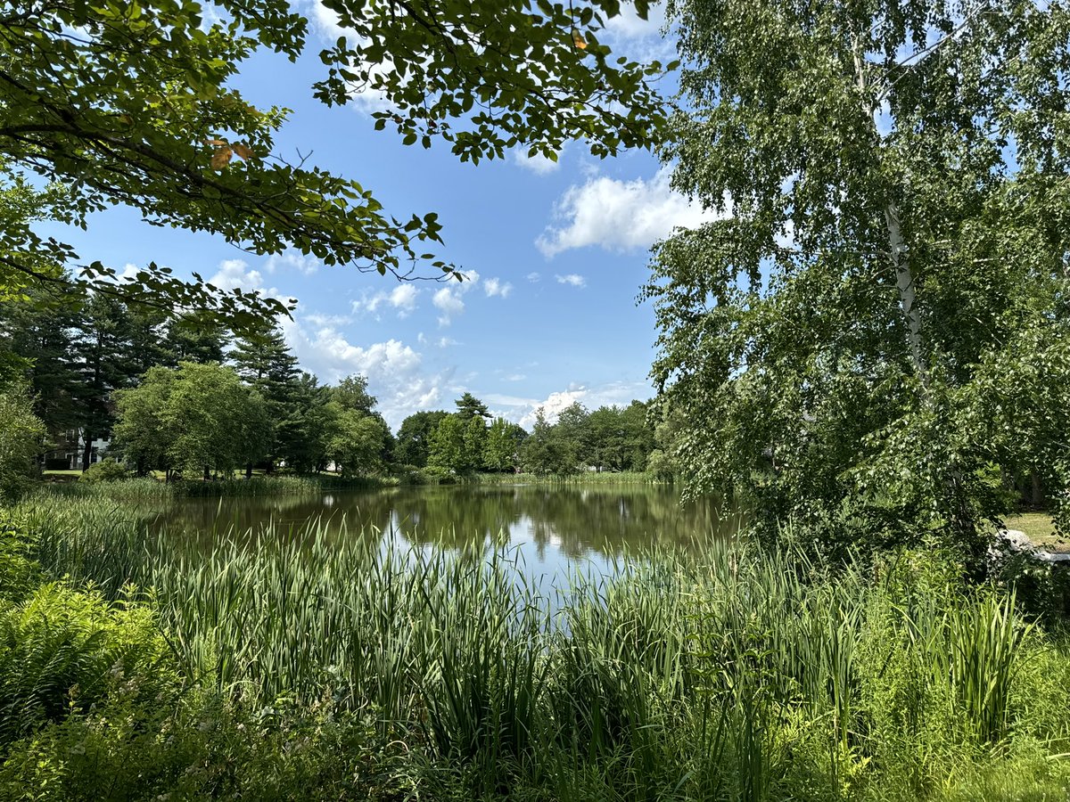 Sneha Rao (@sneha_arao) on Twitter photo Could *Notch* have had a better time at my first <a href="/GordonConf/">Gordon Research Conferences</a>! Thanks to past & future GRS chairs <a href="/ishujain4695/">Ishita Jain</a> <a href="/hematolinie/">Thilinie Bandara</a> <a href="/ASThatte2/">Ajay Thatte</a> & Marlene for fostering such a fun & supportive community. Grateful to be heading home (amidst the travel chaos) with new ideas & new friends. ❤️ Could *Notch* have had a better time at my first <a href="/GordonConf/">Gordon Research Conferences</a>! Thanks to past & future GRS chairs <a href="/ishujain4695/">Ishita Jain</a> <a href="/hematolinie/">Thilinie Bandara</a> <a href="/ASThatte2/">Ajay Thatte</a> & Marlene for fostering such a fun & supportive community. Grateful to be heading home (amidst the travel chaos) with new ideas & new friends. ❤️