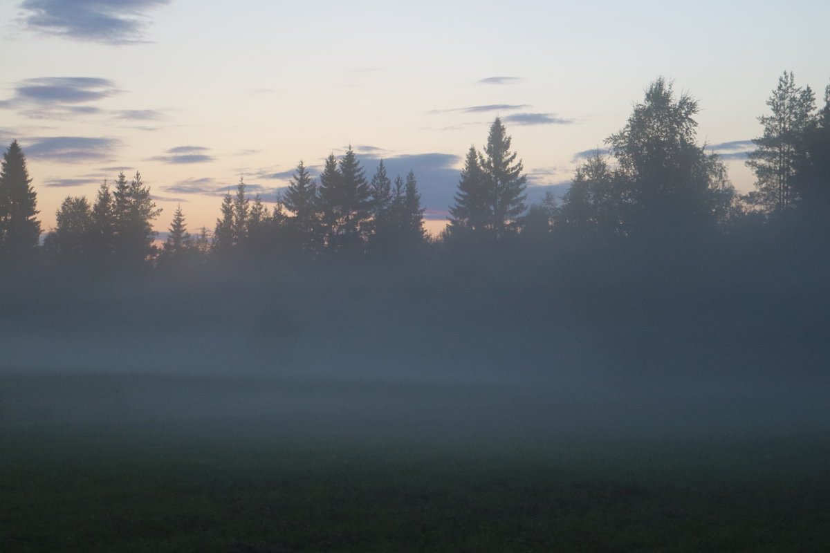 annefinn88's tweet photo. On night walk... #nightwalk #walk #walking #kävelyllä #aftertherain #fog #sumu #nature #finland #july #heinäkuu #kesä2024 #summer2024 #Friday #FridayNight #Night #almostmidnight #summernight #kesäyö https://t.co/xTuaxuNu8m