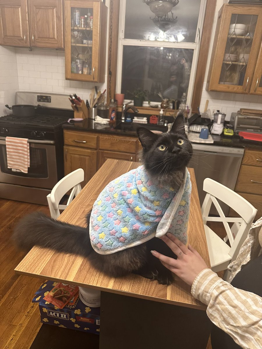 closedmikeday's tweet photo. Blanky baby https://t.co/Y9EHhUaXA8