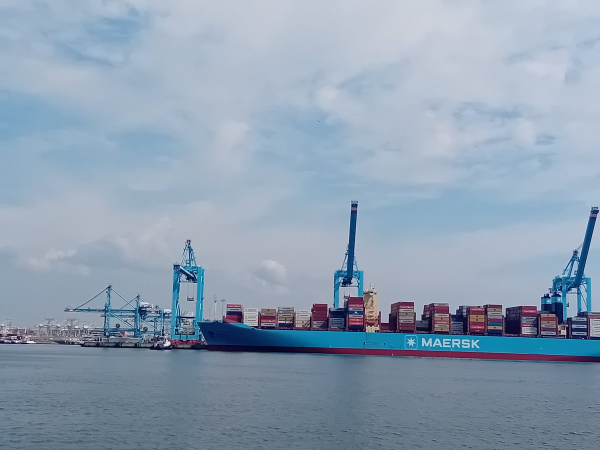 Etienne AUGRIS tweet media