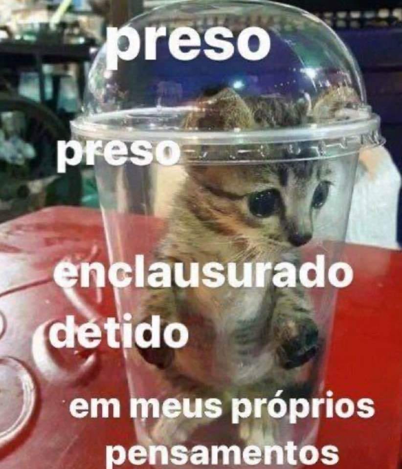 odeiootaco's tweet image. 