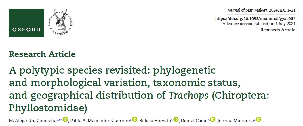 Se publicó !! 😃. El género de murciélagos Trachops ha generado el interés de varios mastozoólogos y los hallazgos con diferentes líneas de evidencia han dado resultados variados ¡así es la ciencia! ¡Mientras más evidencia, mejor! . Aquí el link shorturl.at/qjbC4