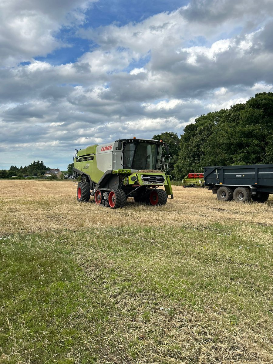 Annabel Hamilton tweet media