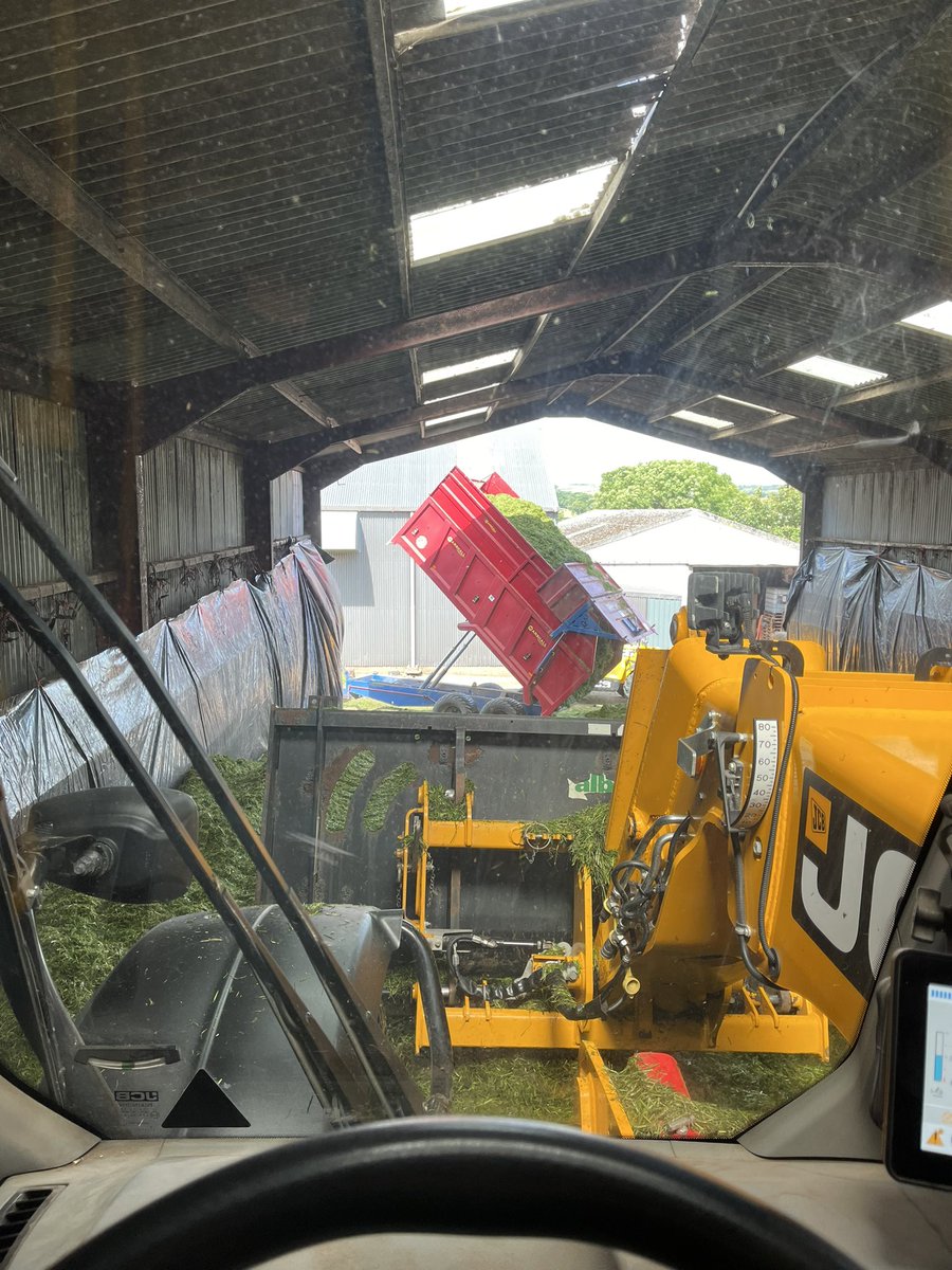 Great team effort today! Made a start on WB Pearl  🌾 for <a href="/SimpsonsMalt/">Simpsons Malt Ltd.</a>, coming in at 16.5% , time will tell yield wise. 2nd cut silage ☘️ also done and dusted ✅! Harvest definitely going to be staggered with mixed desiccation dates.